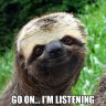 Trading Card Sloth